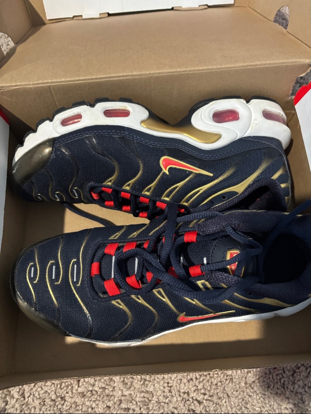Nike Black & Navy Air Max Plus TN with Gold and Red Details